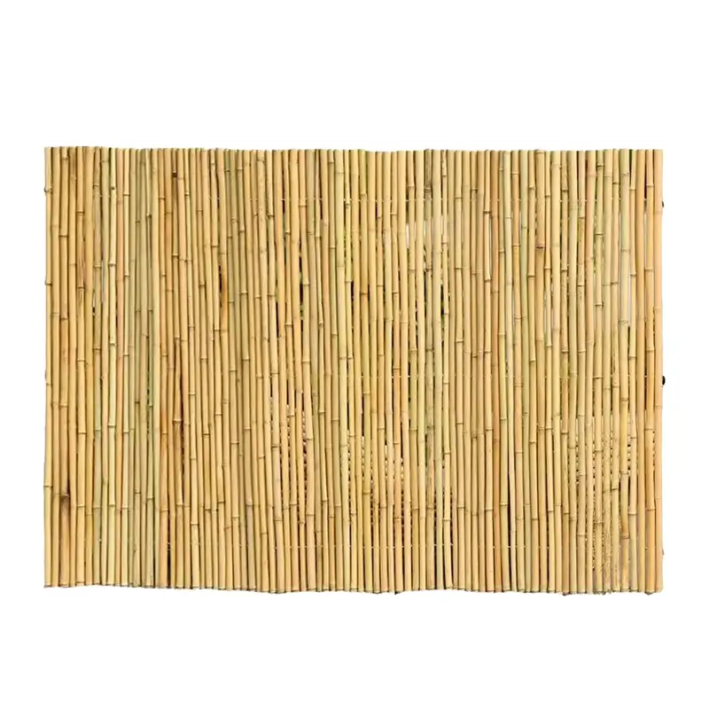 Bamboo Fence
