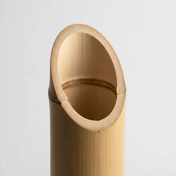 Moso Bamboo vs Other Bamboo Types (4)